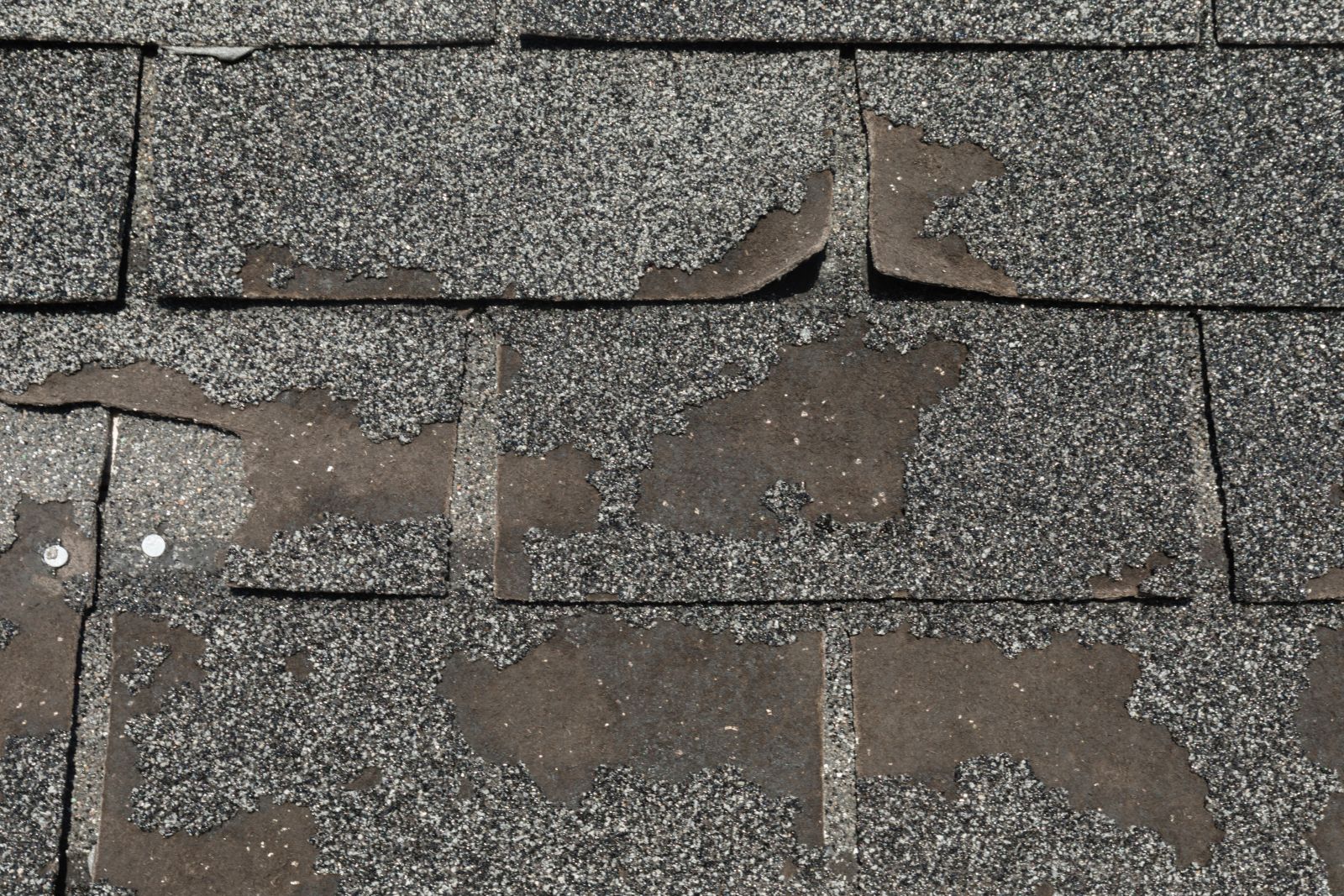 Primo Exteriors Images
