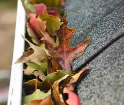 Primo Exteriors Images