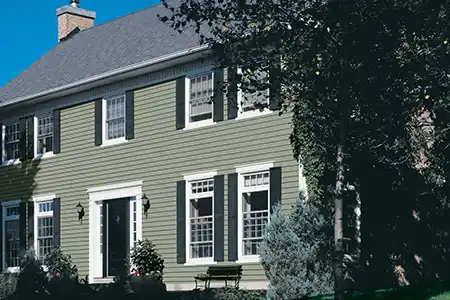 Modern, mid-class home with green siding